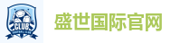 盛世国际